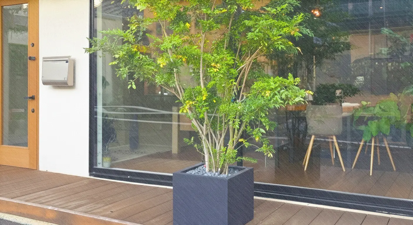 アオダモの鉢植えで後悔しない！育て方の完全ガイド