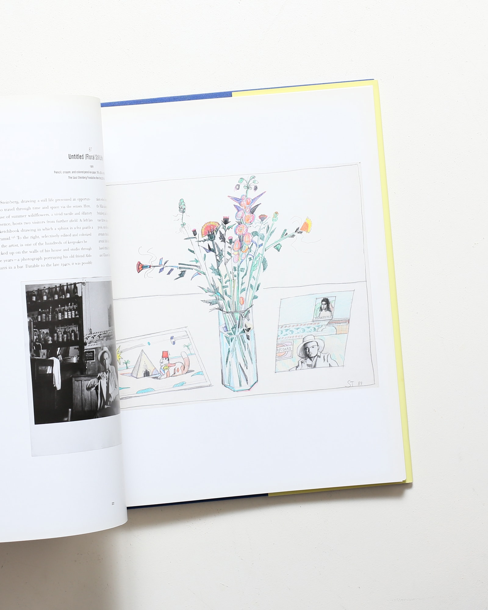 Saul Steinberg: Illuminations | ソウル・スタインバーグ 作品集