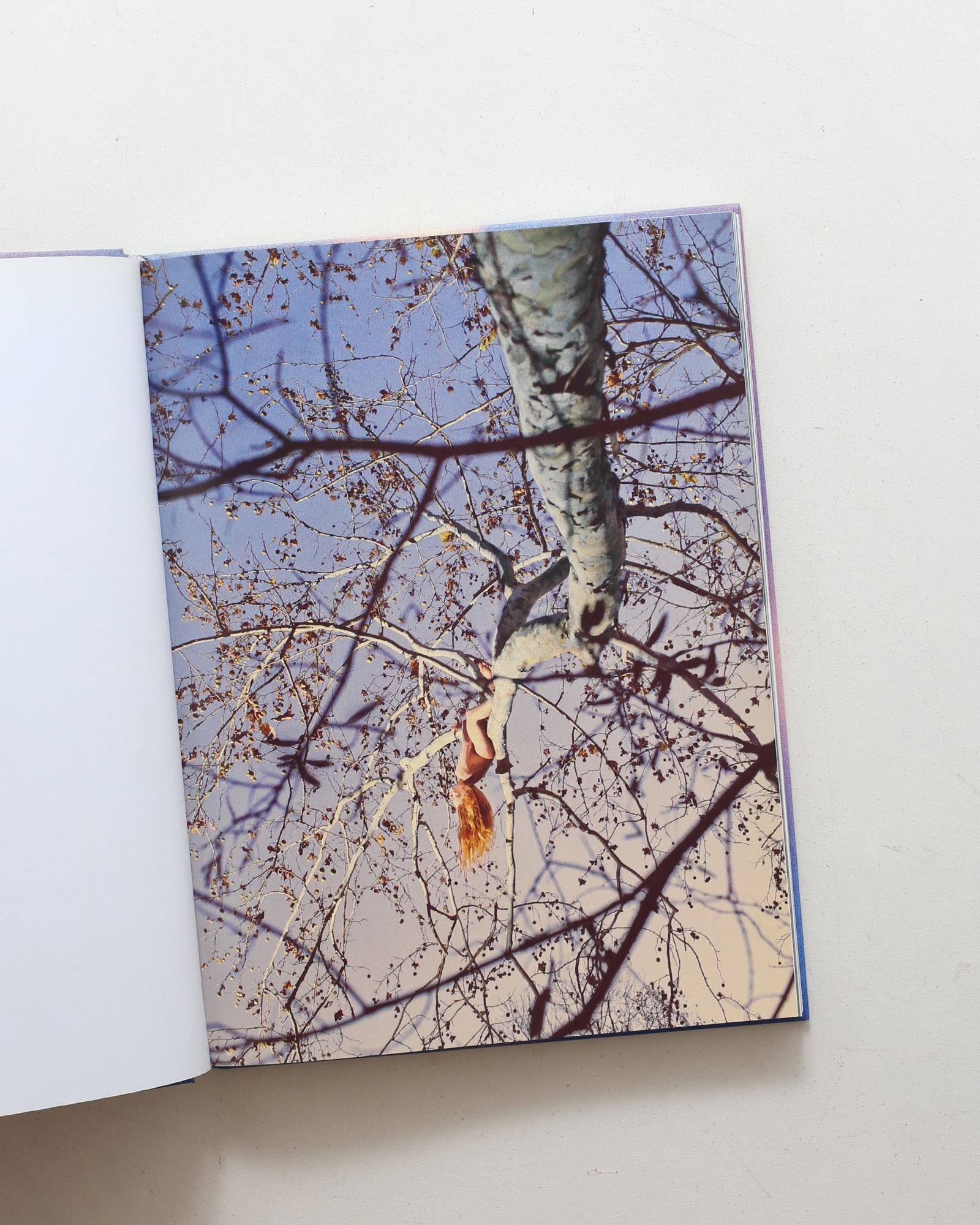 Ryan McGinley: Way Far | nostos books ノストスブックス