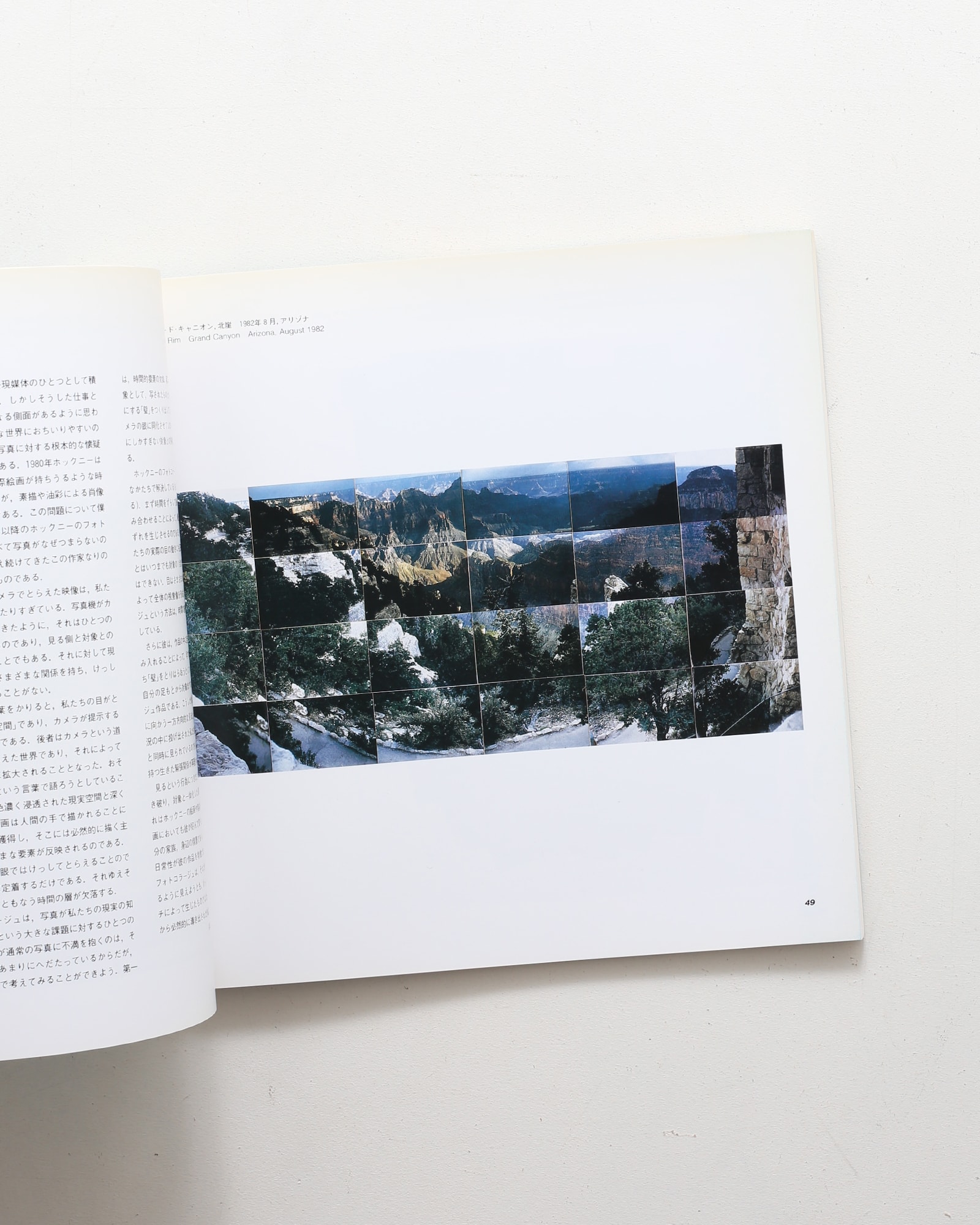 ホックニーのカメラワーク | nostos books ノストスブックス