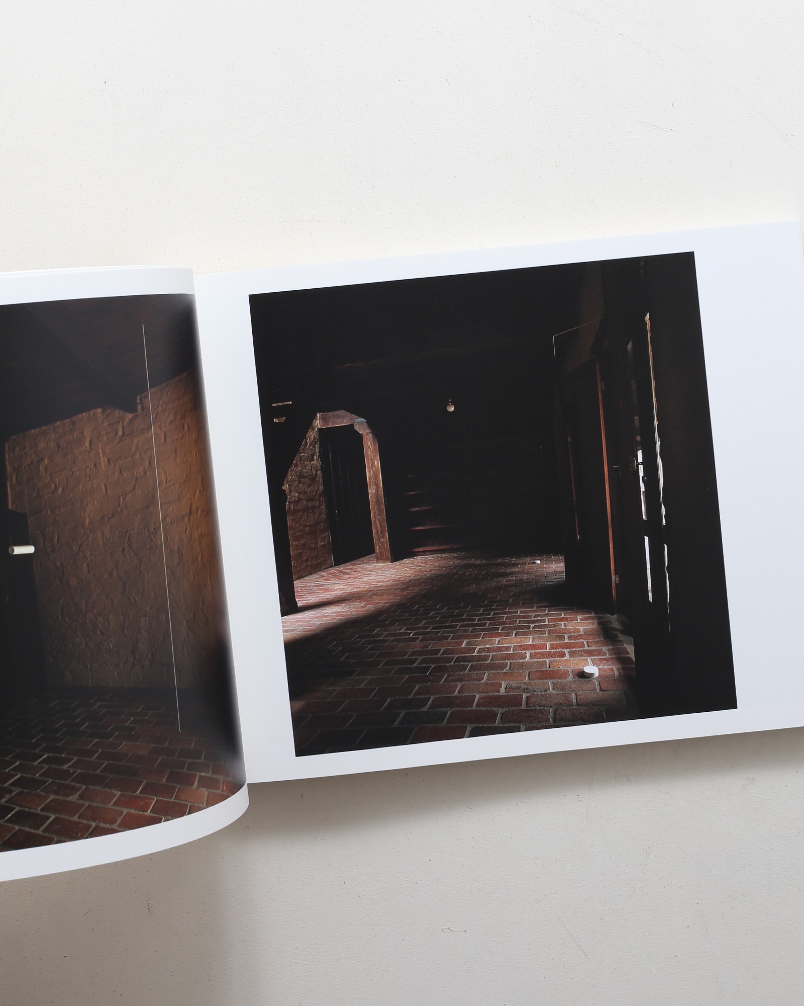 内藤礼 1985–2015 祝福 | nostos books ノストスブックス