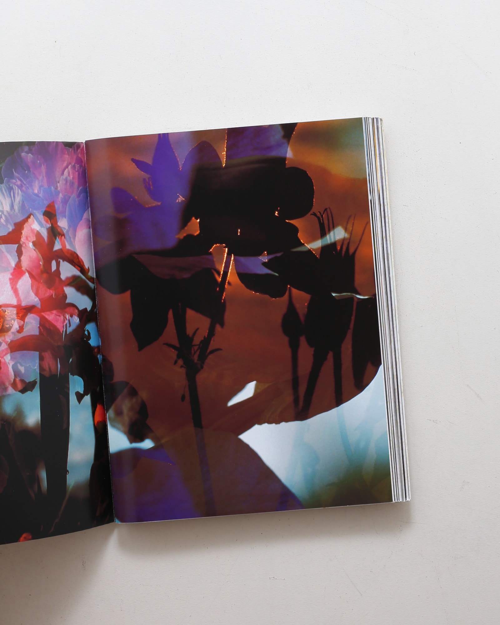 アート・デザイン・音楽 Peter Fischli David Weiss: Musee d'Art M