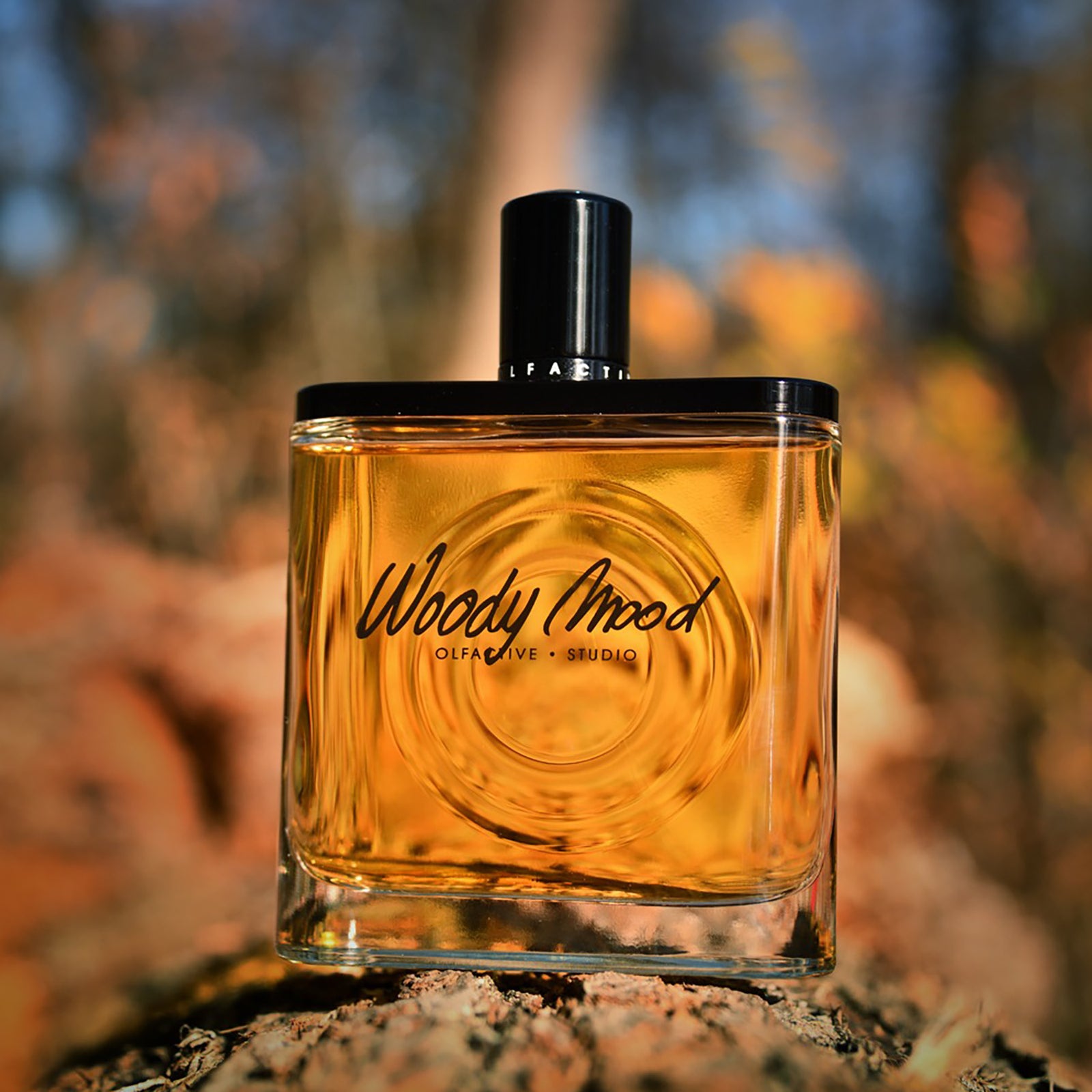 1d40a295-d758-444d-923d-