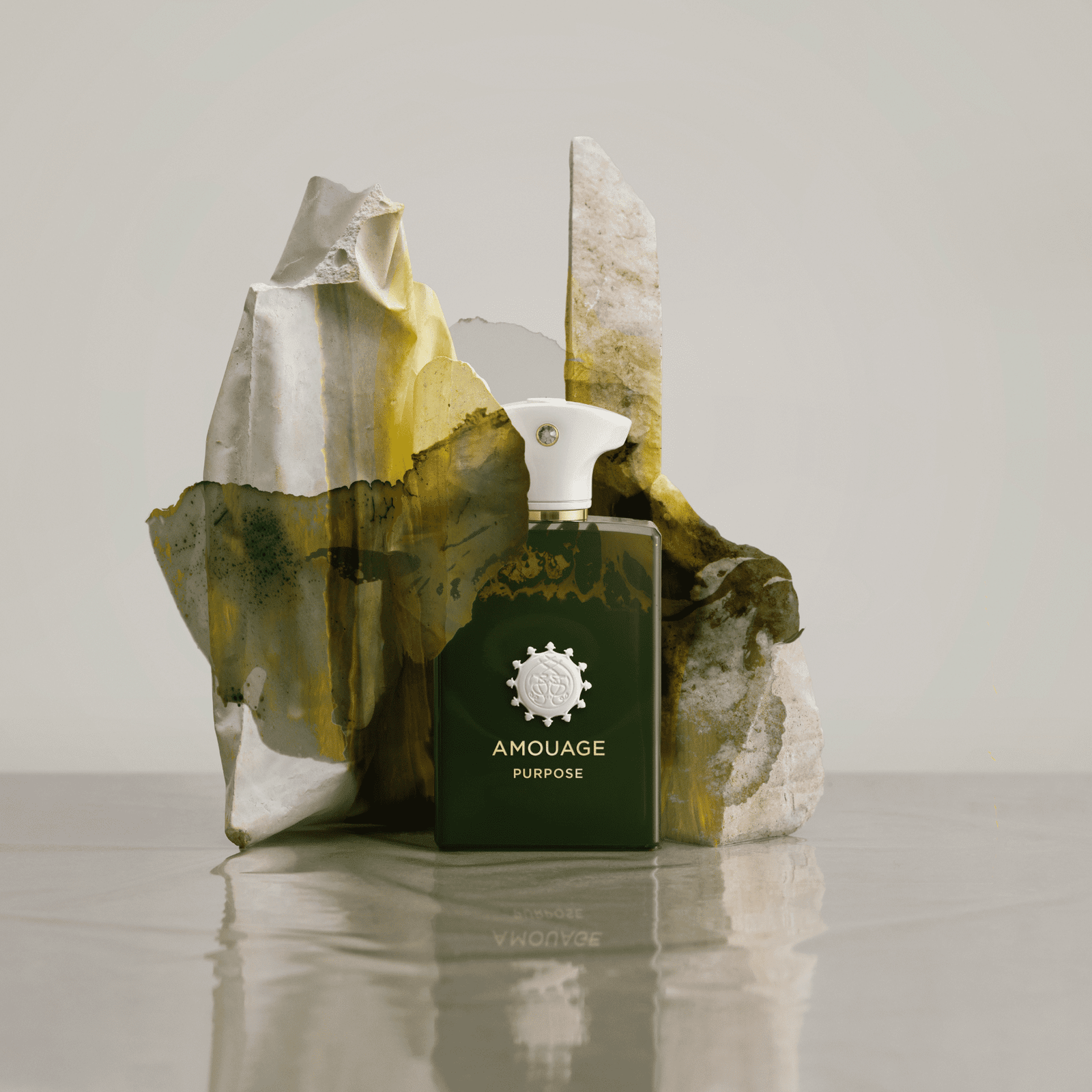 PURPOSE_3_1600x.png?v=1684745483