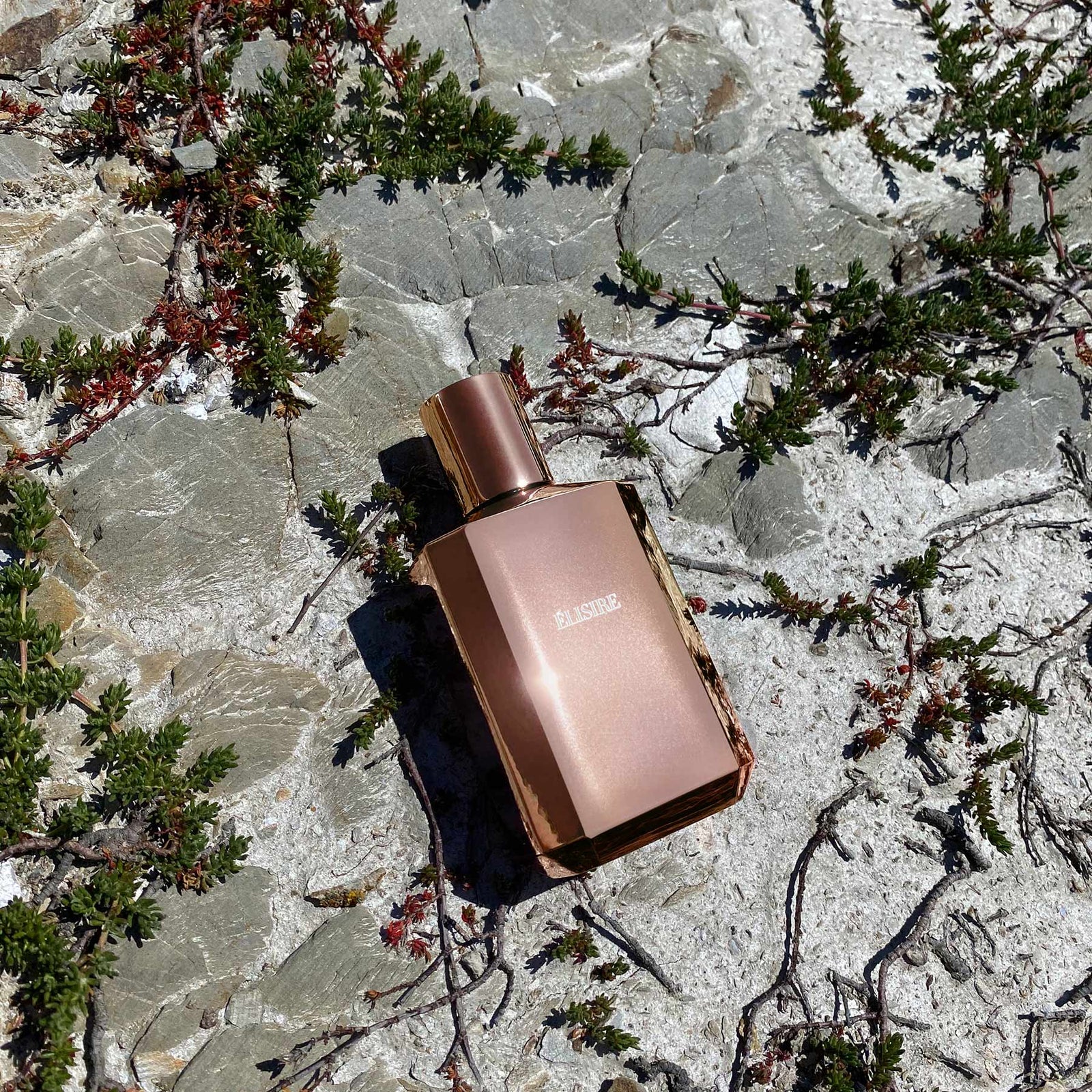 EROSE_73264_1600x.jpg?v=1759835046