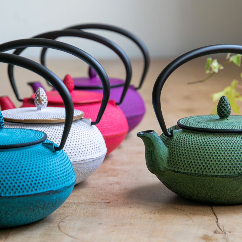 南部鉄器 急須 アラレ 0.6L 8種 ｜のレン神楽坂【公式通販】発酵