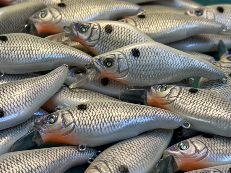 ビーツァM5 2025年新色 | ニシネルアーワークス裏日記