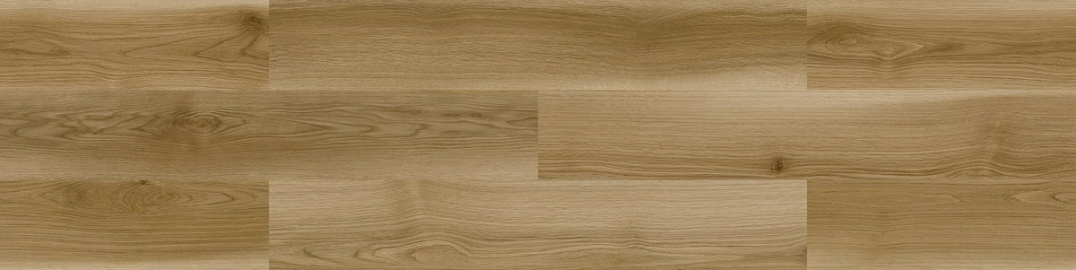 TTN3134_B_1_1200x600_crop_cent