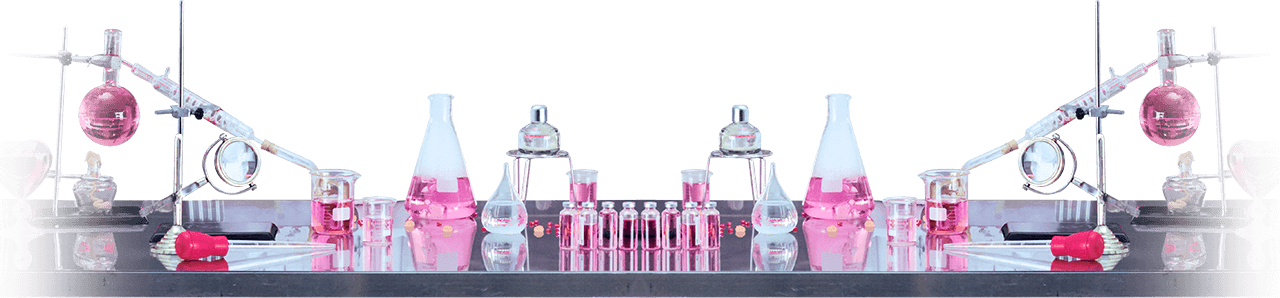 NMIXX FAN CONCERT “NMIXX CHANGE UP : MIXX LAB in TOKYO” ENCORE