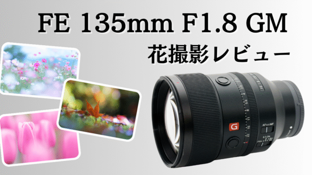 FE 135mm F1.8 GMレビュー｜春から秋の花撮影で“主題が浮かび上がる”一