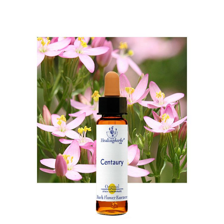 ファイブフラワーレメディ | ニールズヤード レメディーズ 公式