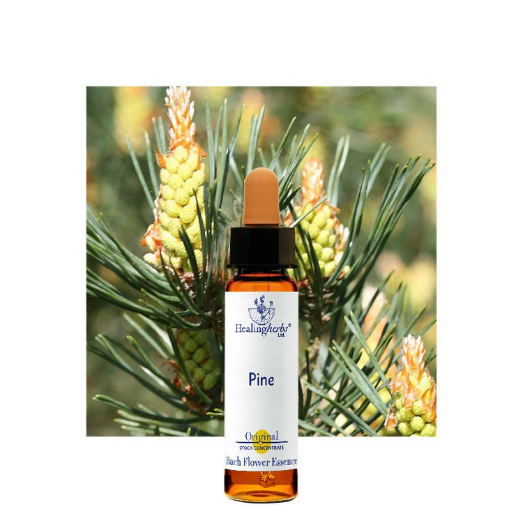 ファイブフラワーレメディ | ニールズヤード レメディーズ 公式