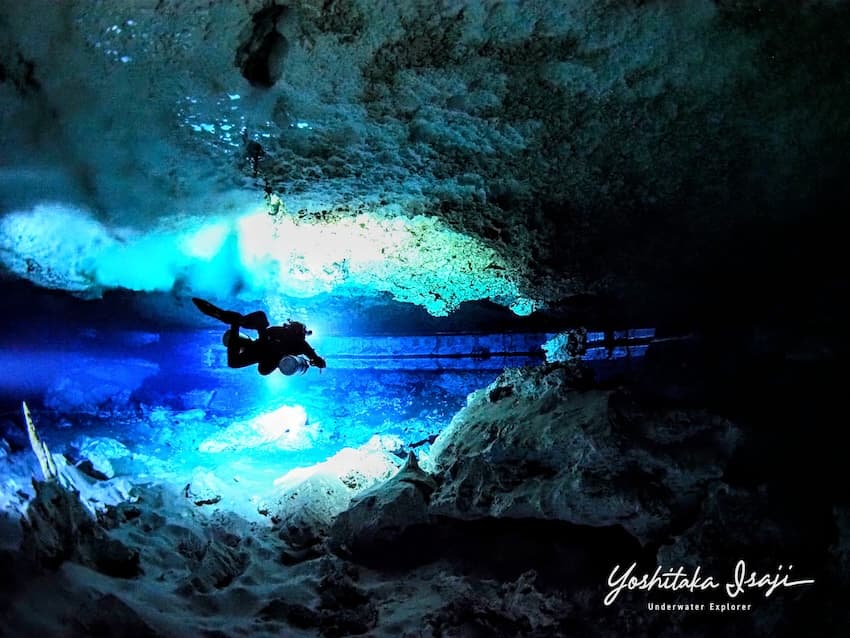 メキシコ・セノーテ「オデッセイ」：水中探検家・伊左治のフツーでは