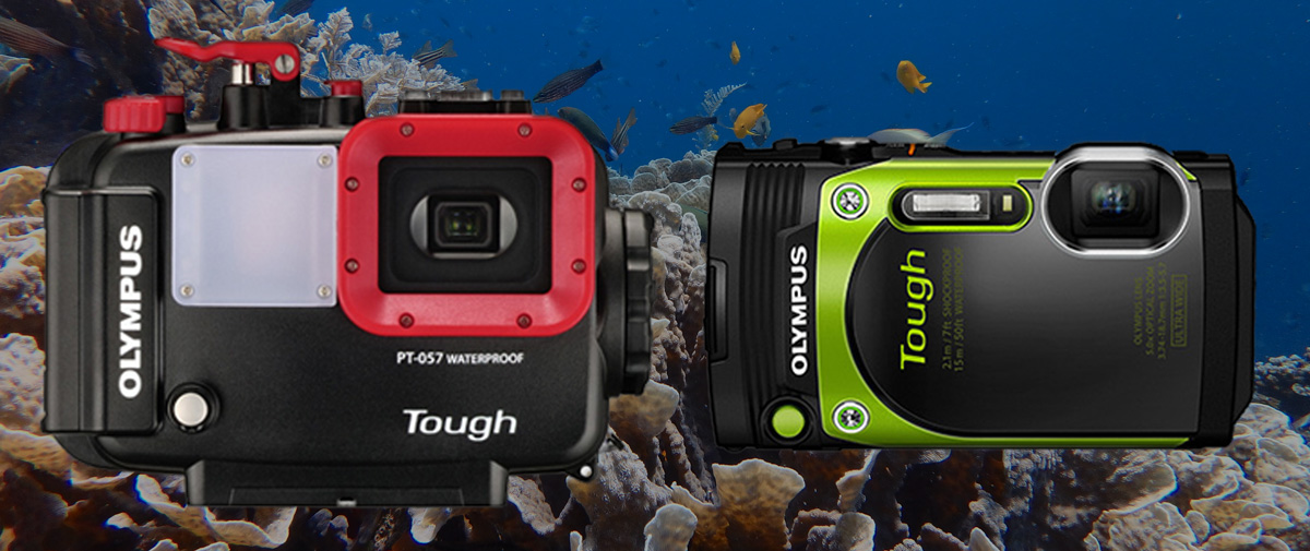 ミスターオリンパス水中”清水淳のカメラレビュー】オリンパスカメラ