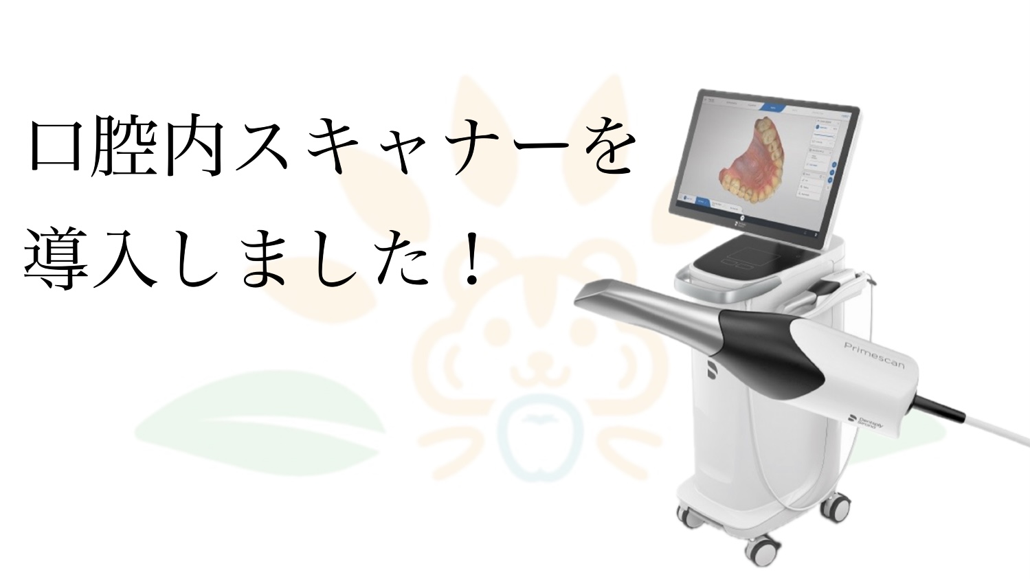 口腔内スキャナーを導入しました - 大垣市・垂井町スグの歯医者 大垣