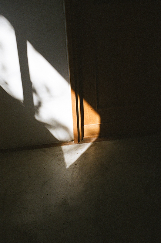 シャムキャッツ5thフルアルバム「Virgin Graffiti」特集｜シャム