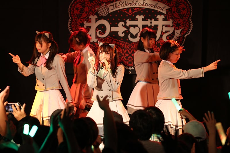 わーすた「完全なるライブハウスツアー2016～猫耳捨てて走り出すに゛ゃ