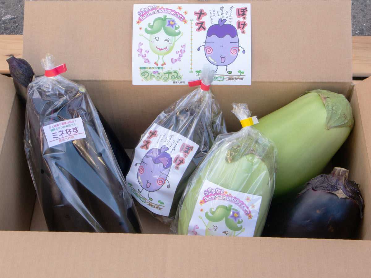 農家大作戦】ぼっけぇナス&マドンナス なす三昧セット _おかチョク