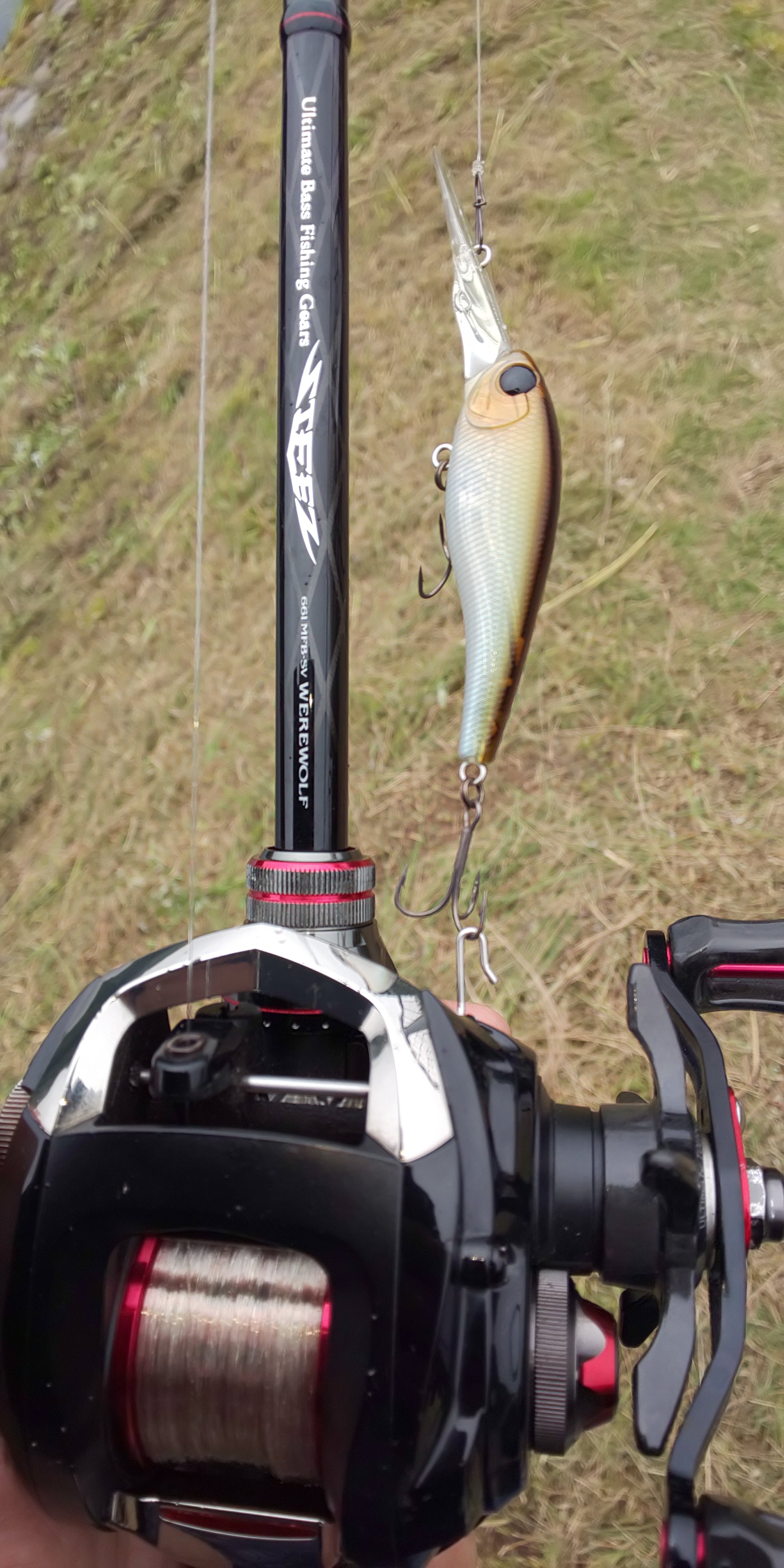 スティーズ ウェアウルフ売却 ベイトフィネスを辞めた理由