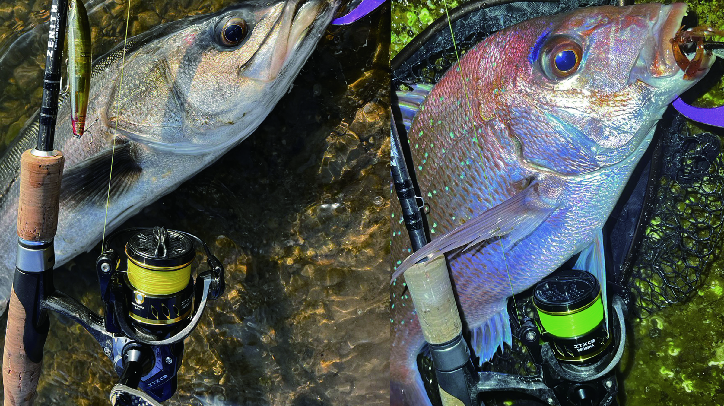 ITX CB PLUS（アイティーエックスシービープラス） - Okuma（オクマ