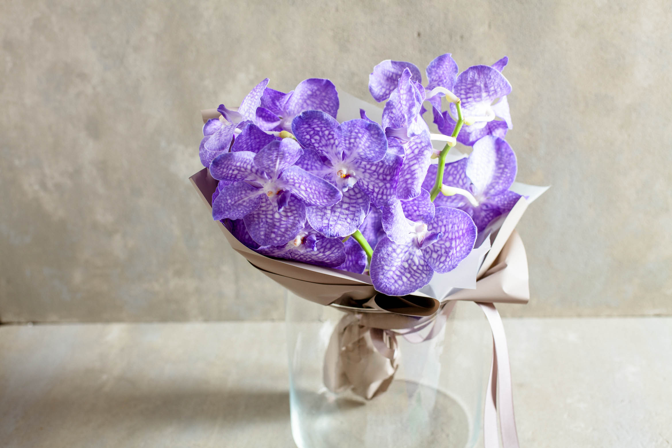 ヴァンダール：花束 : おしゃれな花ギフトの通販 : @FLOWER「アット