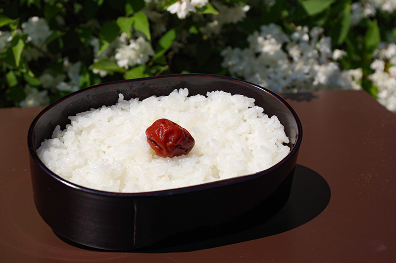 大井屋｢井川メンパ｣古くから愛されてきた道具を日常生活に | 大井川物産店