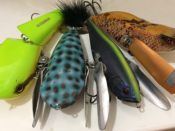 ビッグクローラーベイト！マニアおすすめの羽根モノ4選。タックルや