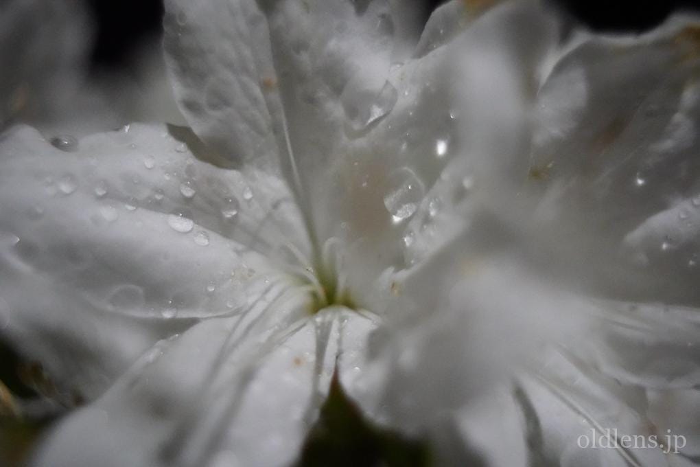 PENTACON auto MC 29mm F2.8 M42 Review作例 クセ玉おすすめ広角