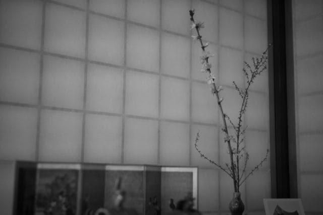 Nikkor-H.C 50mm f2 L39 Review作例 5cm ニコンのライカLマウント銘玉