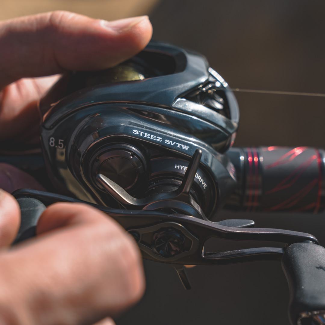 Daiwa Steez SV TW Casting Reel | Omnia Fishing