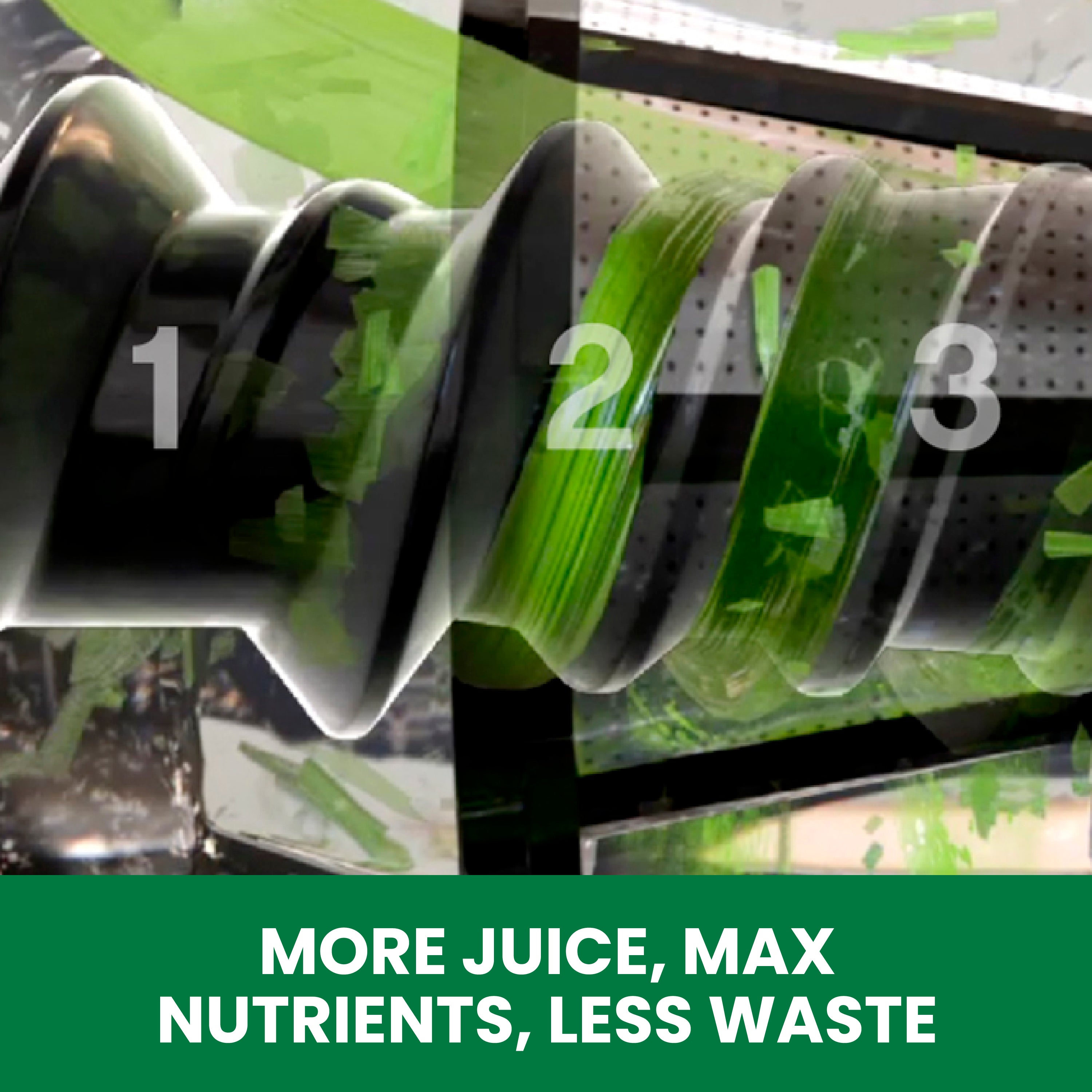 Omega Cold Press Premium Masticating Juicer with Nutrition System