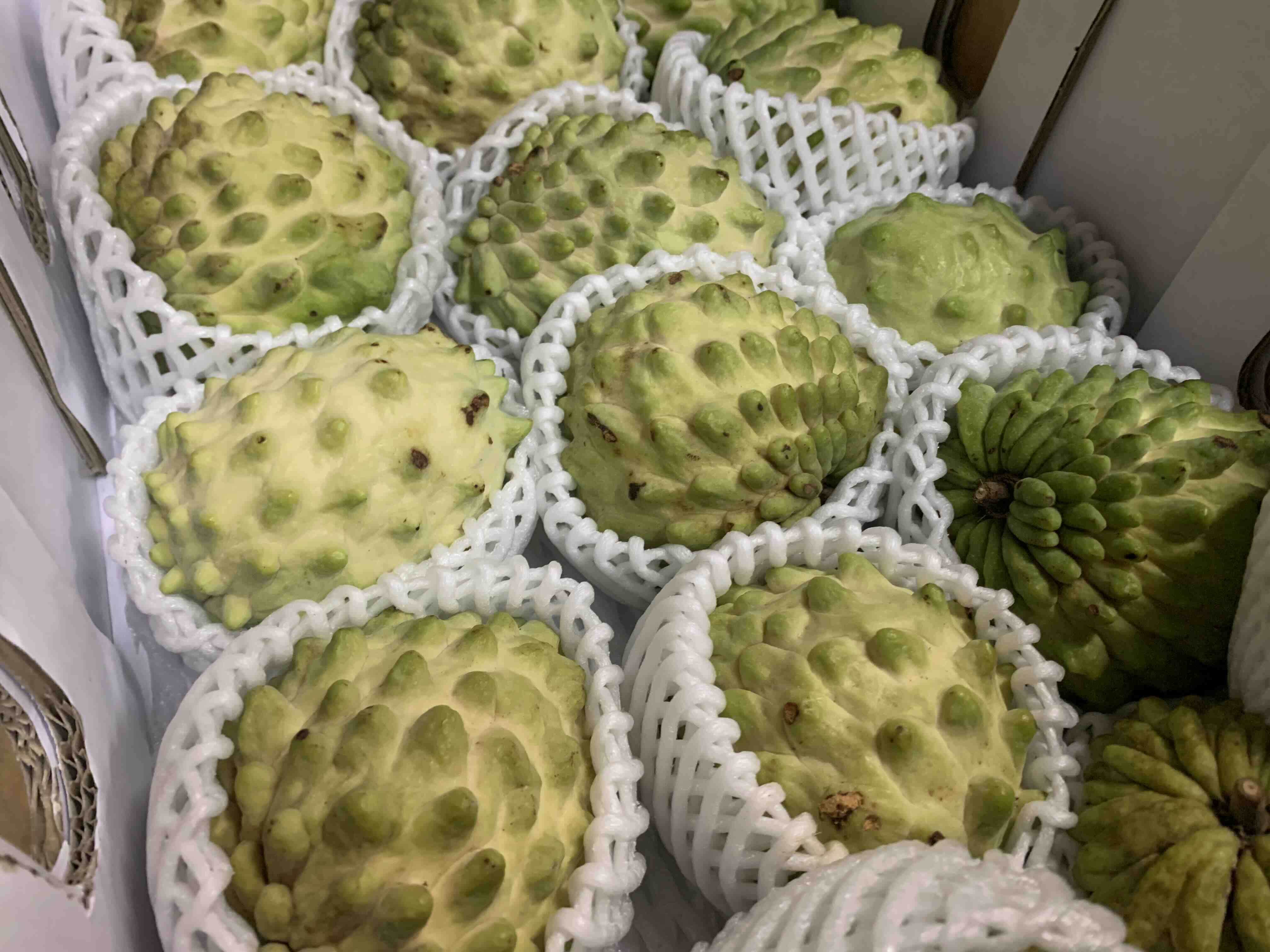 アテモヤ 森のアイスクリーム 高級フルーツ