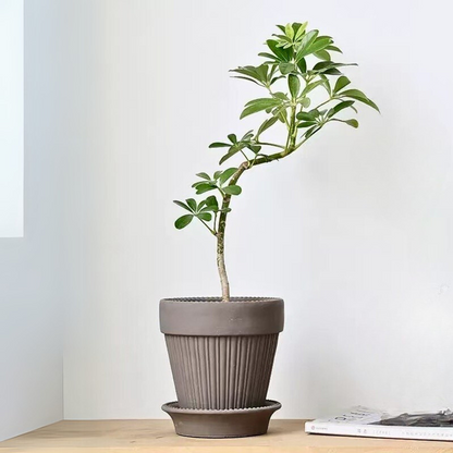 5-6号｜ブラック ブラウン｜おしゃれで可愛い鉢｜受け皿付｜カヌレ鉢