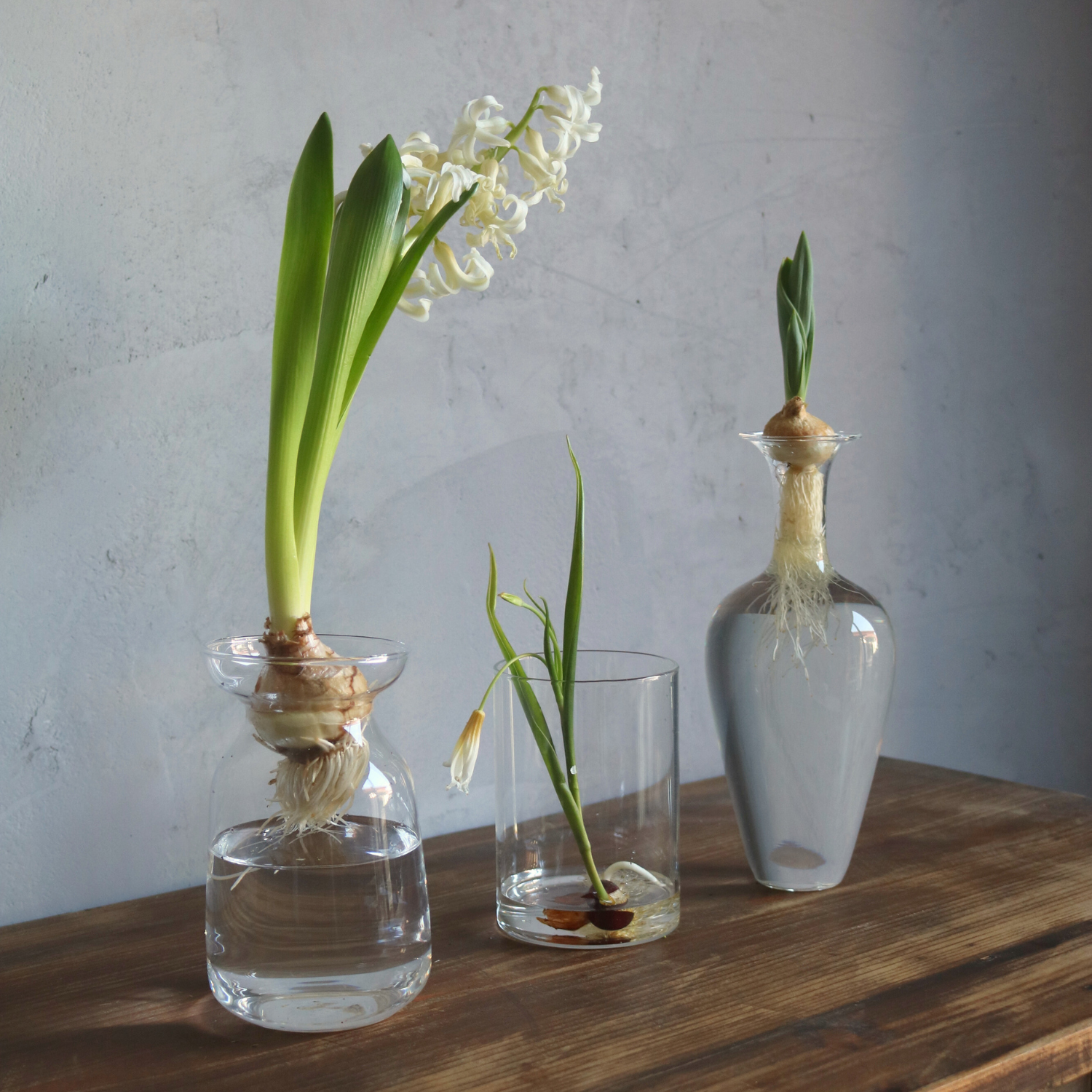 シンプルでおしゃれなガラスの花瓶｜とうめい｜ドライフラワー｜姫