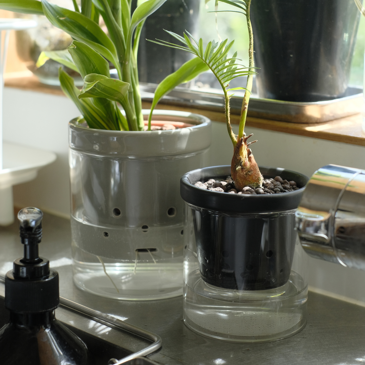 水耕栽培 ハイドロカルチャー専用鉢 食虫植物の鉢｜陶器 おしゃれな鉢