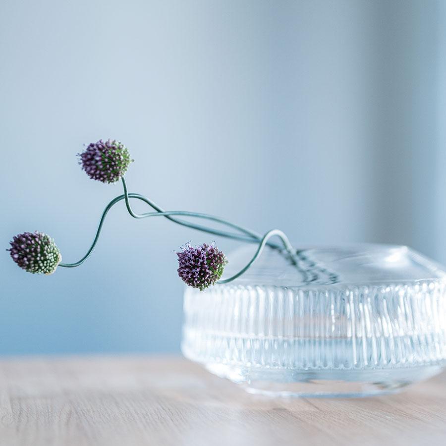 LSA International | ROTUNDA Wide Vase H14cm｜【公式】ACTUS online