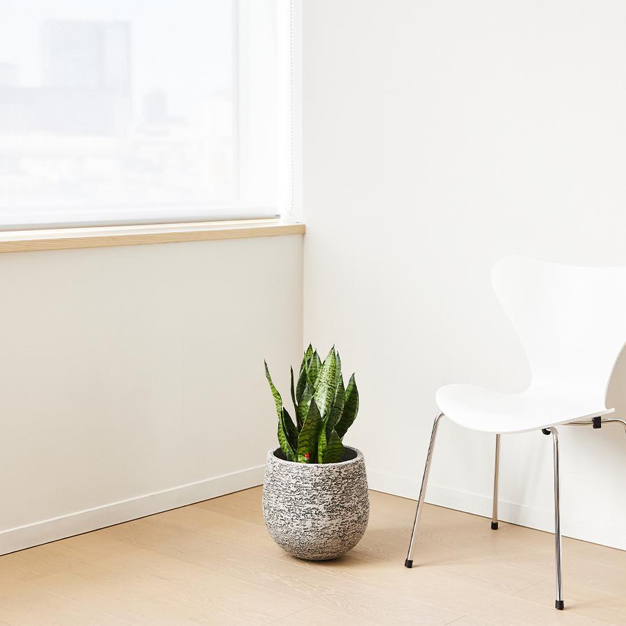 stem | プランターカバー F1805 Mサイズ （直径28cm） グレー｜【公式