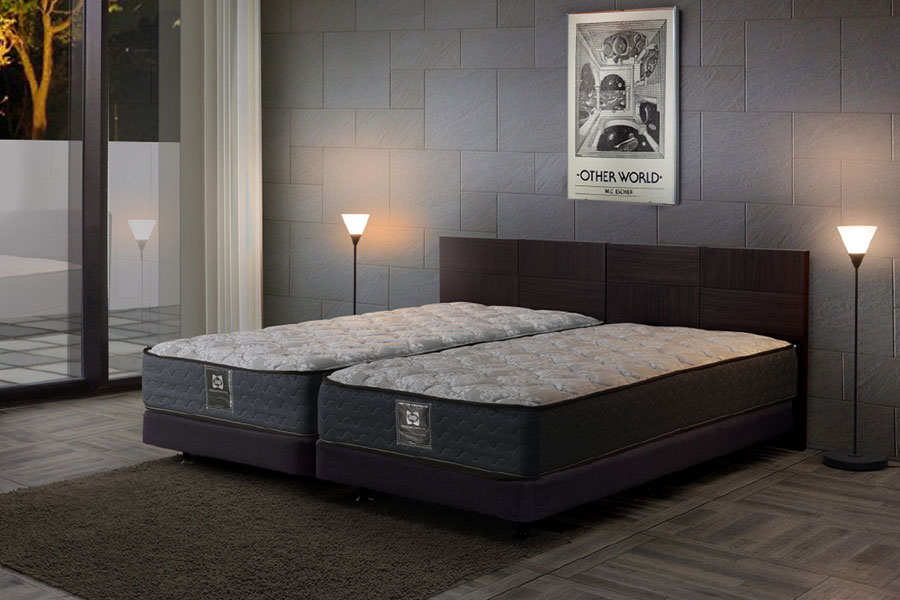 シーリー アミオンF＋ツインエール01TT ベッドフレーム＆マットレス 2