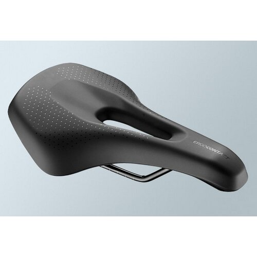 GIANT ( ジャイアント ) クロスバイク ESCAPE RX 2 DISC ( エスケープ