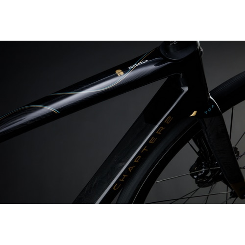 CHAPTER2 ( チャプター ツー ) ロードフレーム TOA ( トア ) ブラック