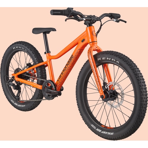 CANNONDALE ( キャノンデール ) キッズバイク KIDS TRAIL PLUS 20