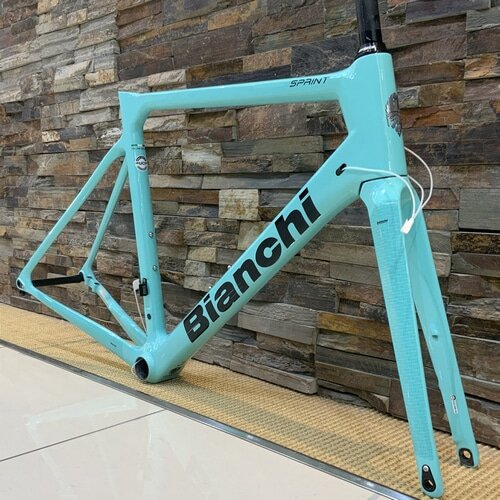 BIANCHI ( ビアンキ ) ロードフレーム SPRINT DISC ( スプリント