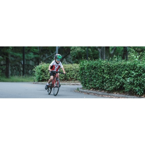 FUJI ( フジ ) キッズバイク ACE 20 ( エース 20 ) ラベンダー 20