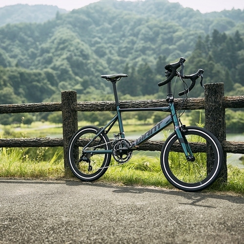 GIANT ( ジャイアント ) ミニベロ（小径車） IDIOM 1 ( イディオム 1