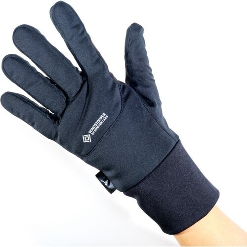 MIZUNO ( ミズノ ) ウィンターグローブ ブレスサーモ x ゴアテックス