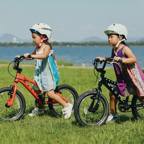 MARIN ( マリン ) キッズバイク DONKY JR 16 ( ドンキー ジュニア 16