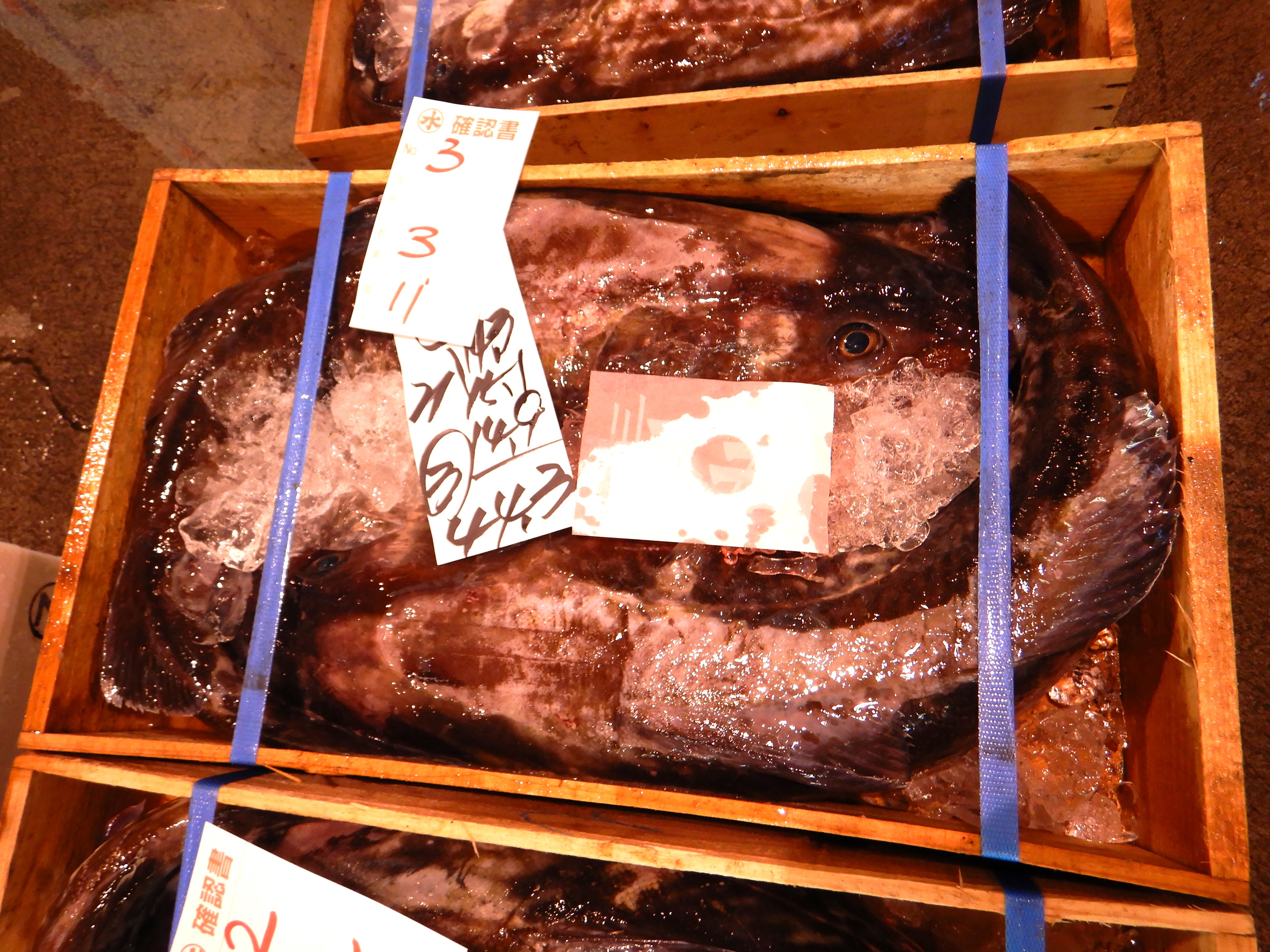 トロ箱ってなに？魚を入れる？大トロを入れる？とろばこ・トロバコ