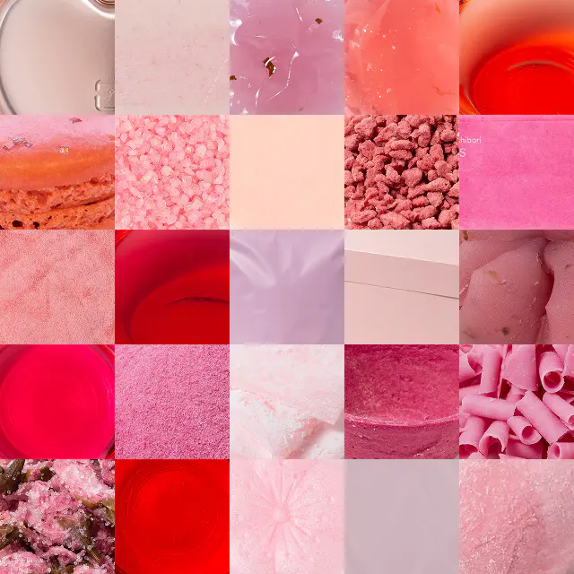 Spring Color Collection 2026