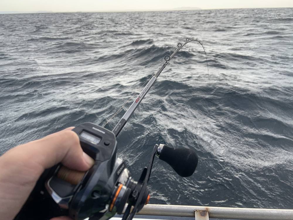 シマノのライトゲーム系船竿「BB」「SS」「CI4+」の違いと「ライト