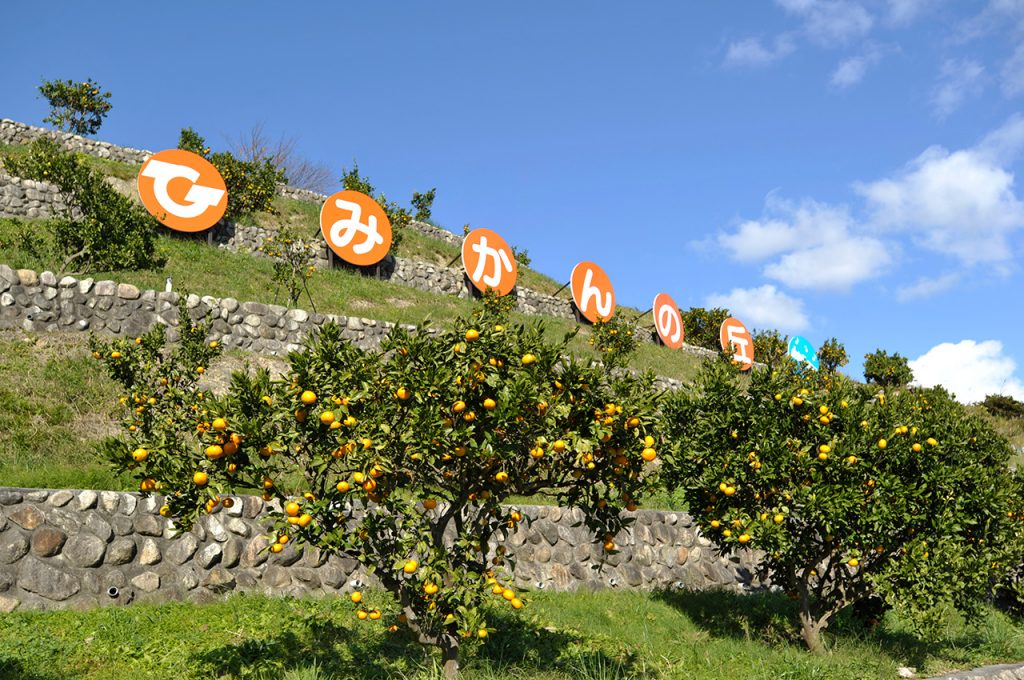 みかんの丘 | 観光ガイド | 折木鉱泉若松屋旅館